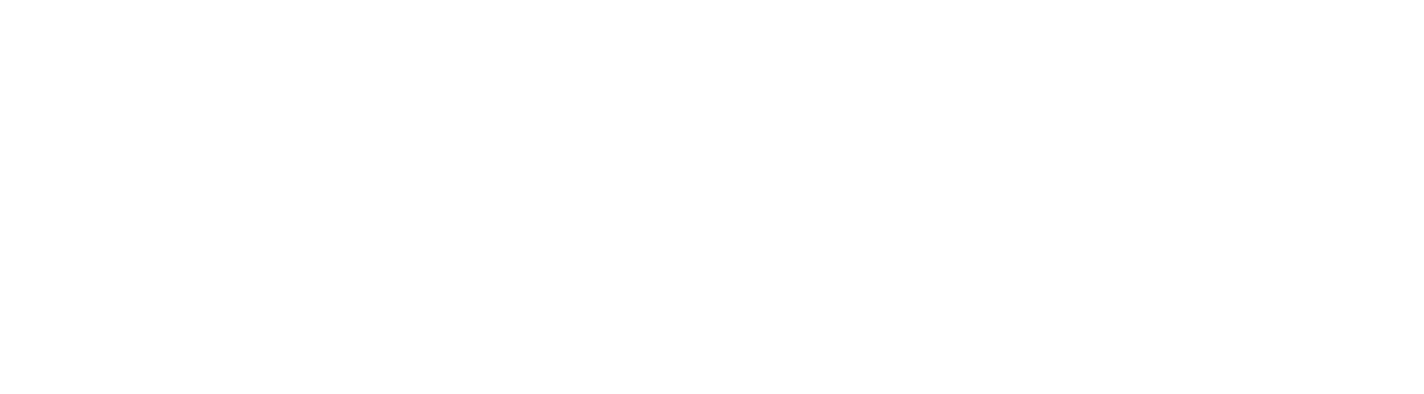 Gerdenitsch Logo Footer